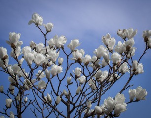 20130413-IMGP3332.jpg