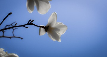20130413-IMGP3367.jpg