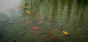 20130413-IMGP3371.jpg