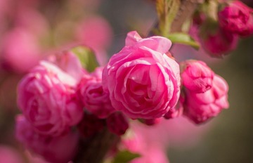 20130413-IMGP3282.jpg