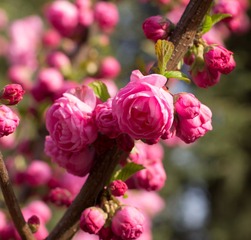 20130413-IMGP3281.jpg