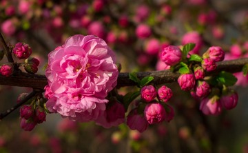 20130413-IMGP3273.jpg
