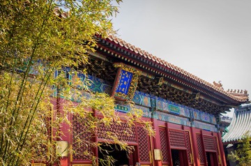 20130501-IMGP3426.jpg