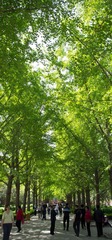 20130501-IMGP3427.jpg