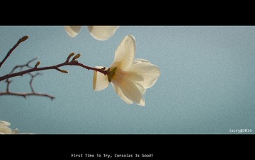 IMGP3367_1