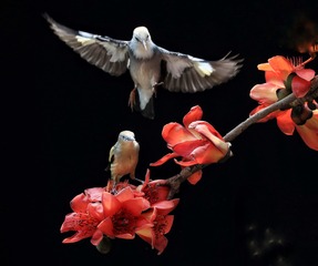 CEB8B14C-C8F7-4231-AED2-7FC1AD045399