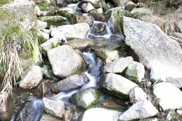 DSC00321.jpg