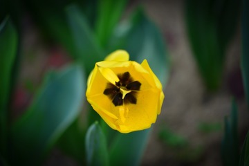 09