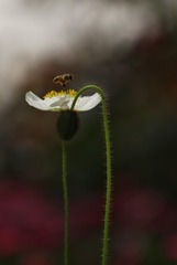 IMG_20250416_141246