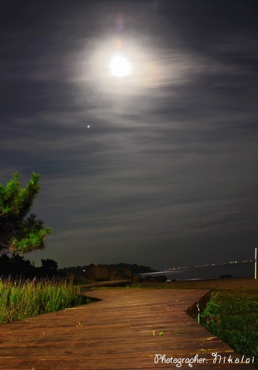 月夜小道 - 陈泽骏 - 图虫网 - 优质摄影师交流社区
