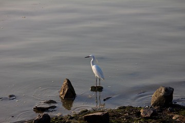 IMG_7244.jpg