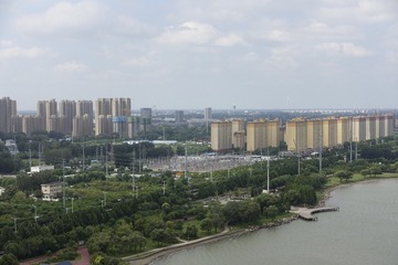 2016246