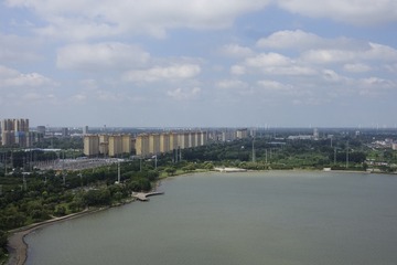 2016241