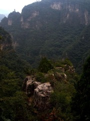 山