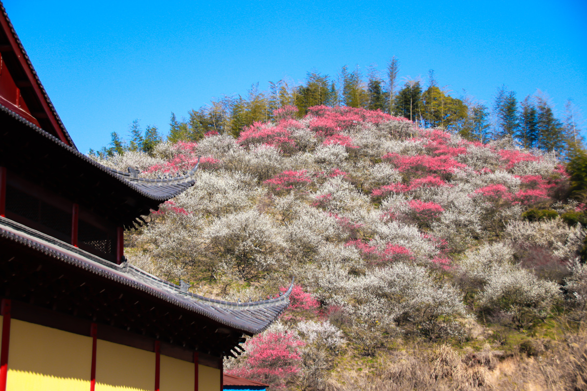 浙江省湖州市安吉杭垓桐杭村大梅海景区