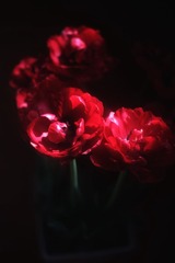 F89683FE-4F7B-46BC-B12D-494A71081ED4/L0/001