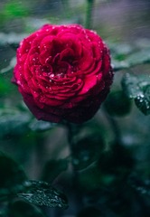 3E1F0CE1-0BA3-455F-8E29-77D43699D691/L0/001