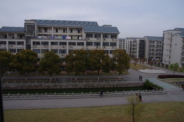 IMGP8594.JPG