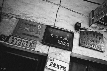 那个年代的标本