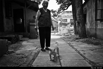 懒猫包子脸^_^