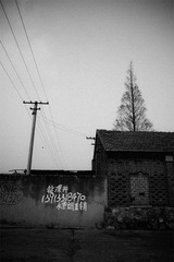 _1140142_南京航空航天大学农场.jpg