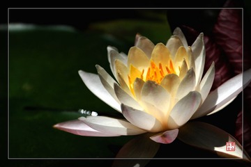 IMG_0004.jpg