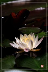 IMG_0013.jpg