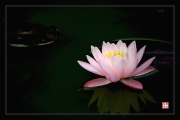 IMG_0037.jpg