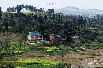 田园风光六0