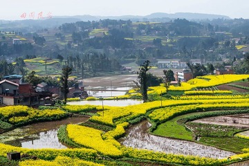 田园风光三0
