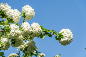 _DSC0967-13