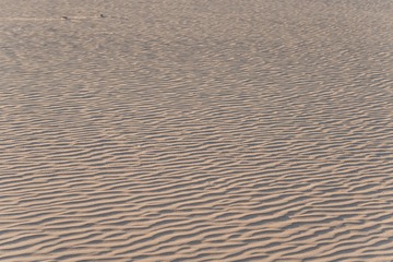 DSC_6645-6