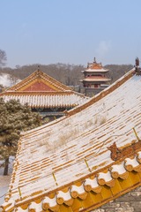 _DSC1440-编辑-49