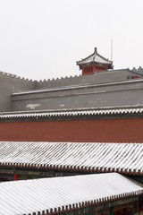 DSC08336-1