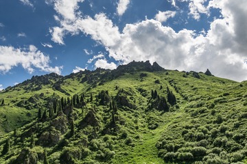 _DSC5884-6