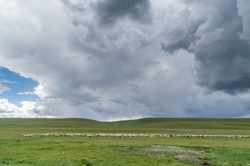 _DSC7416-58