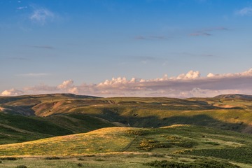 _DSC8756-10