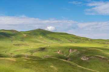 _DSC8911-6