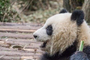 _DSC3626-32