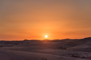 DSC_7334-16
