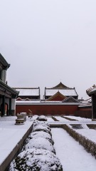 DSC08277-1