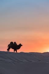 DSC_7531-47
