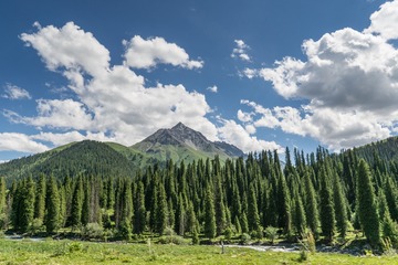 _DSC5781-24