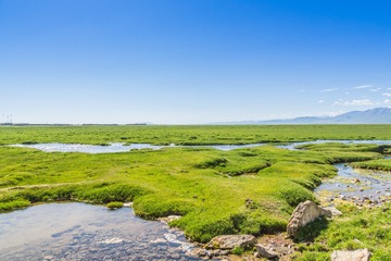_DSC6396-21