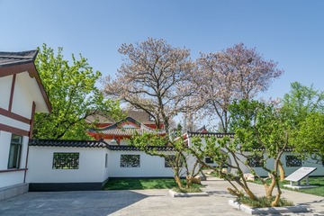 _DSC0993-15