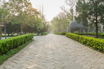 _DSC0506-11