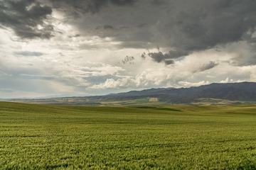 _DSC8400-6