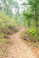 _DSC2251-28