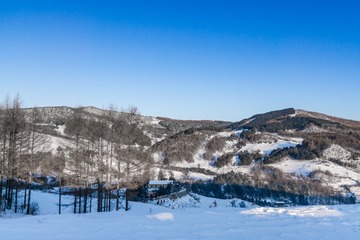 DSC07852-34