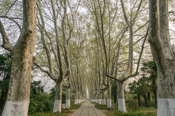 _DSC0489-6
